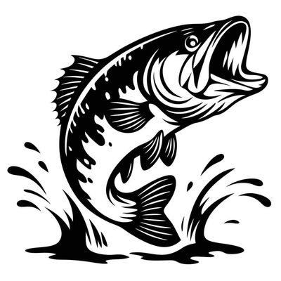 Player: poolfish76