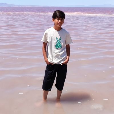 Player: amirhosseinami