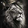 the_king