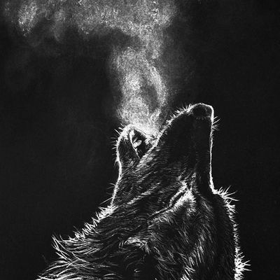 Player: wolfiri
