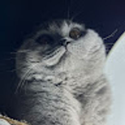 Player: roxycat