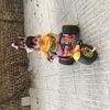 Player: sinajokar