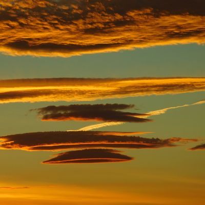 Player: stingrayster