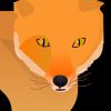 arash_z