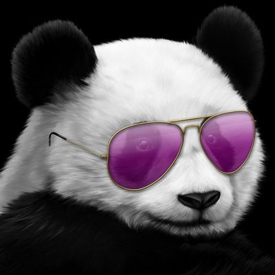 Player: hawrylyx